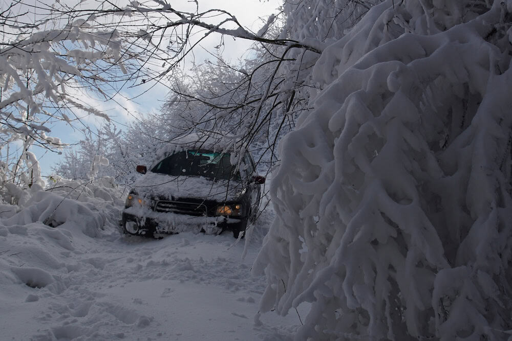 Allerta meteo a Berlino e Brandeburgo: ghiaccio nero e neve minacciano strade e sicurezza