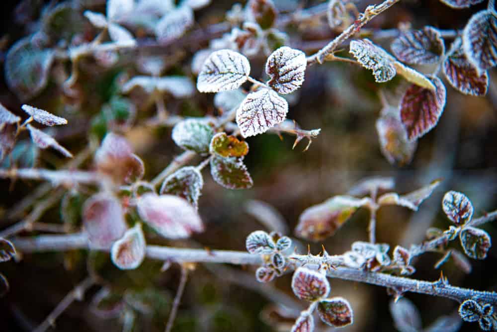 Meteo Finlandia: temperature gelide in arrivo nella settimana del 20 gennaio