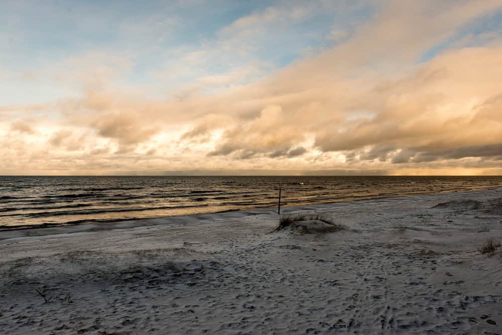 Meteo: temperature gelide e vento artico in arrivo nella Florida centrale