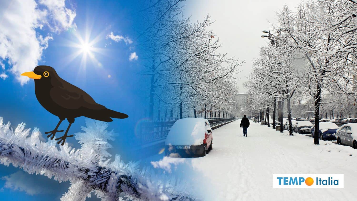 Meteo, GELO intenso nei Giorni della Merla: cosa accadrà in Italia 17 Meteo, GELO intenso nei Giorni della Merla: cosa accadrà in Italia