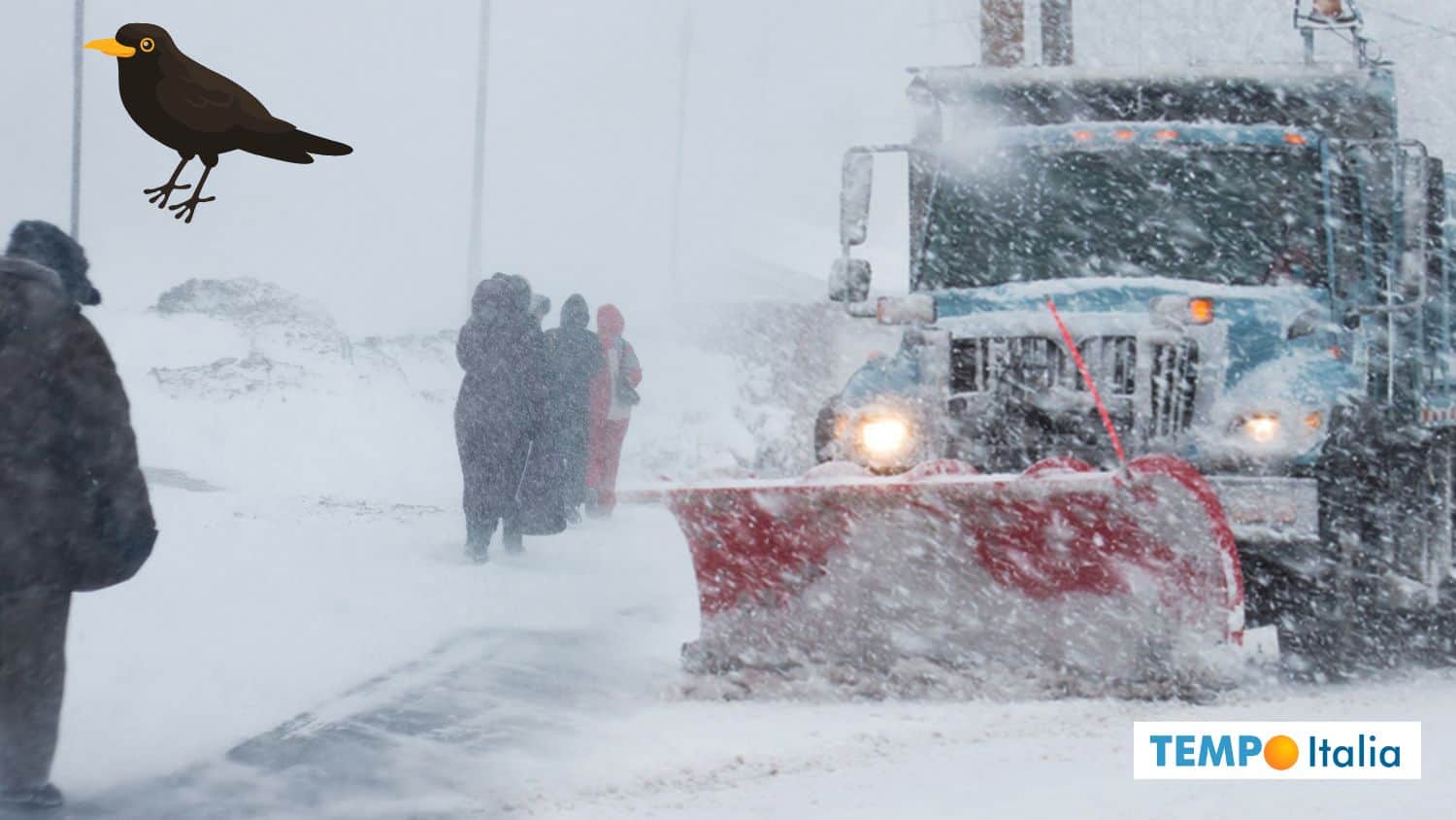 Meteo: Giorni della Merla con NEVE e Gelo, conferme INCREDIBILI 7 Meteo: Giorni della Merla con NEVE e Gelo, conferme INCREDIBILI