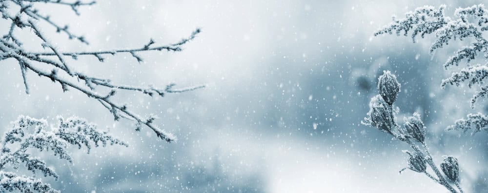 Meteo Powys: il villaggio più freddo del Galles e due scuole chiuse