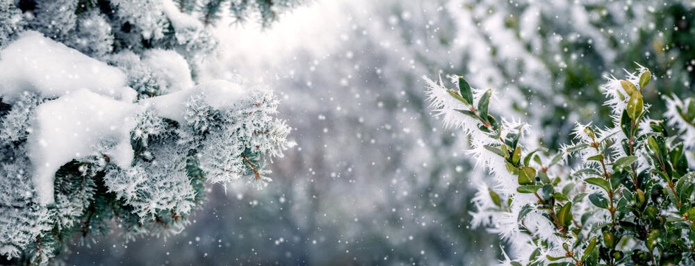 Meteo Senna Marittima: nevicate in arrivo mercoledì 8 gennaio e possibile nuovo episodio venerdì