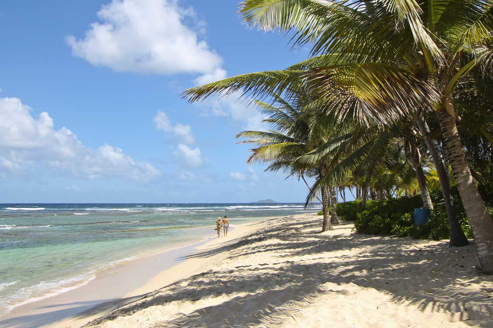 Scogliere marine e cultura a St. Croix. Viaggio low cost