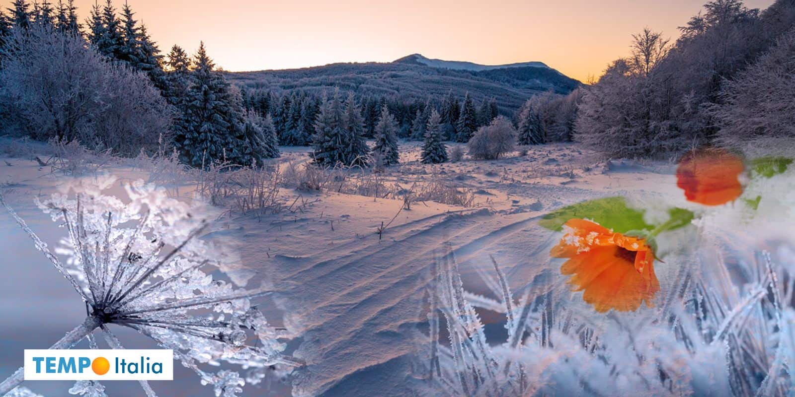 METEO: come la natura potrebbe sorprenderci questa settimana