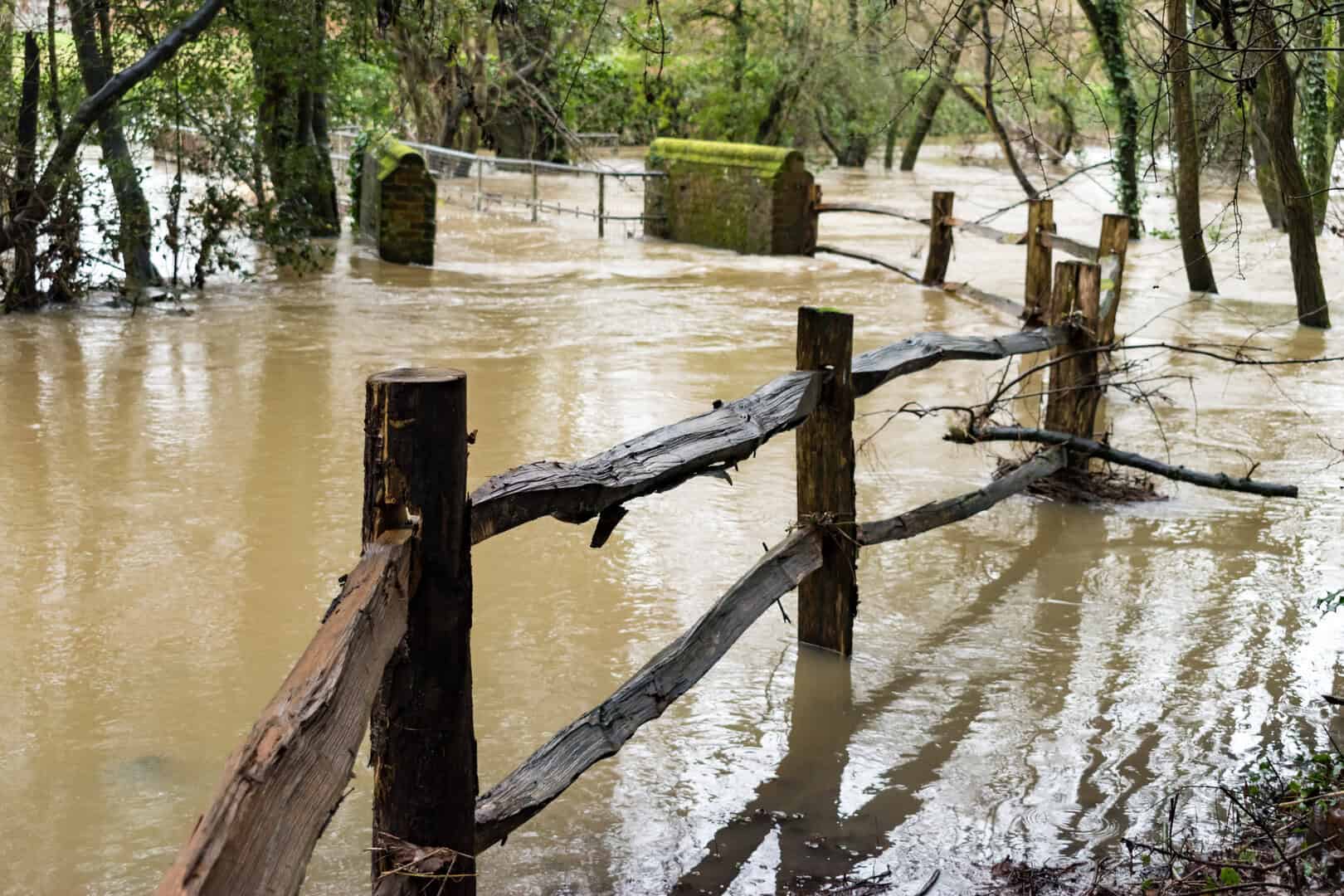 Meteo Surrey: allerta per forti venti e piogge intense