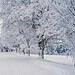 Gennaio dal sapore invernale nella seconda parte