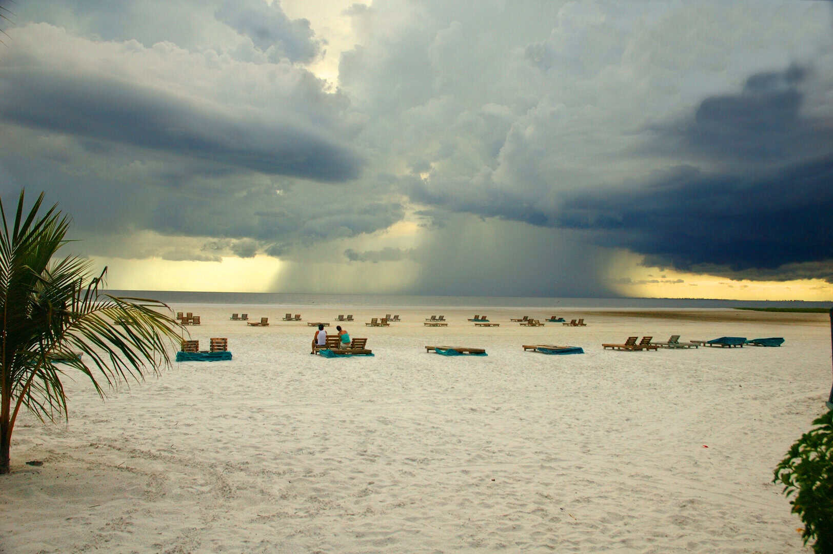 Meteo Florida, Fort Myers e Cape Coral: tempesta di pioggia in arrivo lunedì 24 febbraio, attesi forti rovesci e temporali