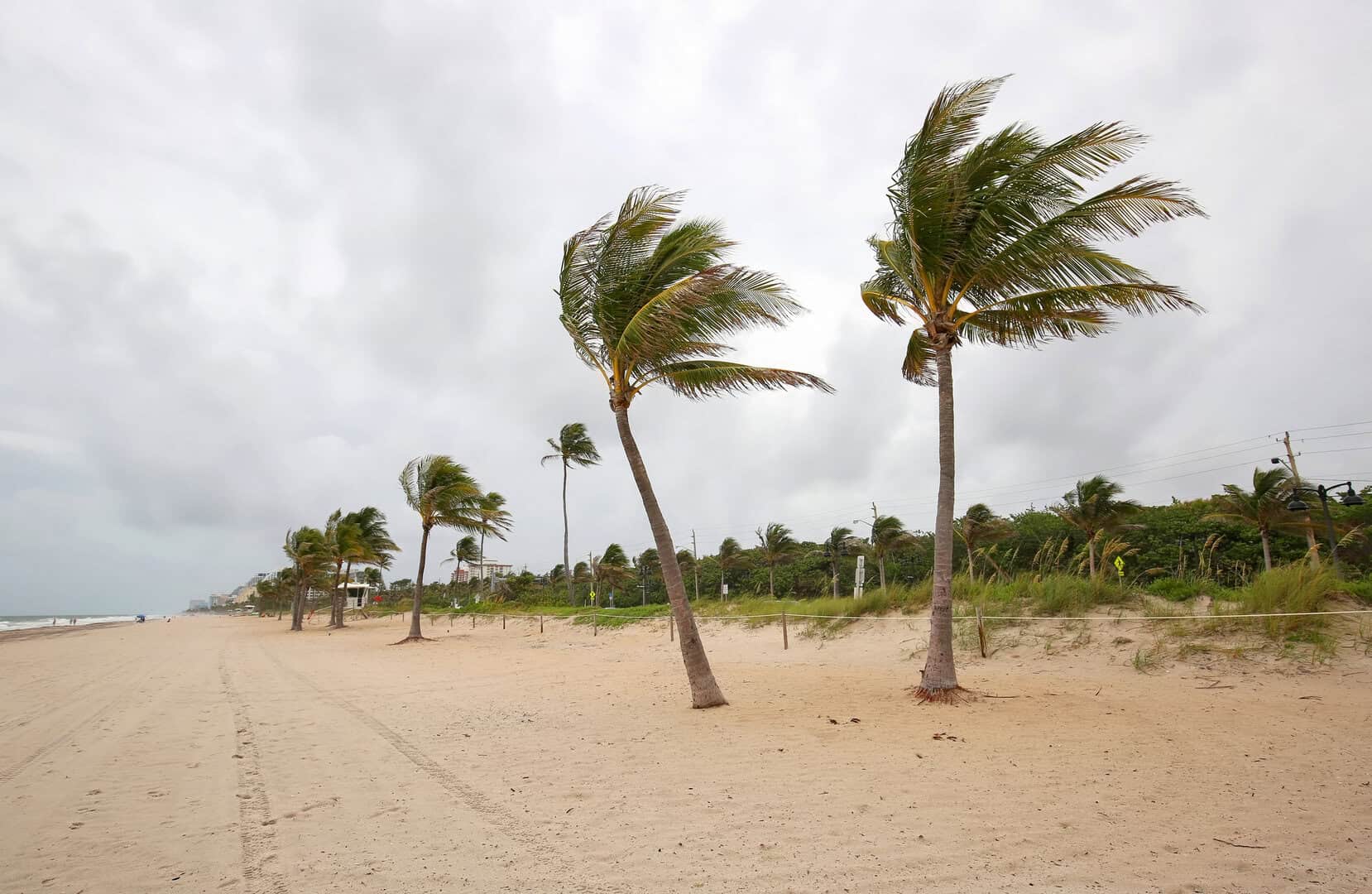 Meteo Florida: ondata di freddo in arrivo dopo un febbraio dal sapore estivo