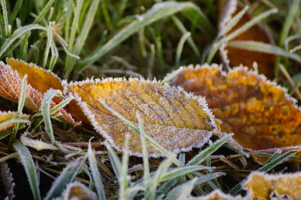 Meteo Belgio: neve in arrivo anche questa settimana, ecco dove e quando