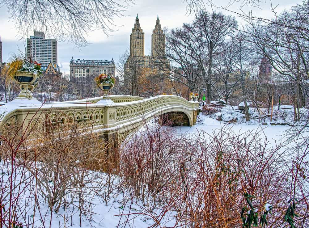 Meteo New York: neve record in arrivo, allarme tempesta con accumuli eccezionali e viabilità a rischio