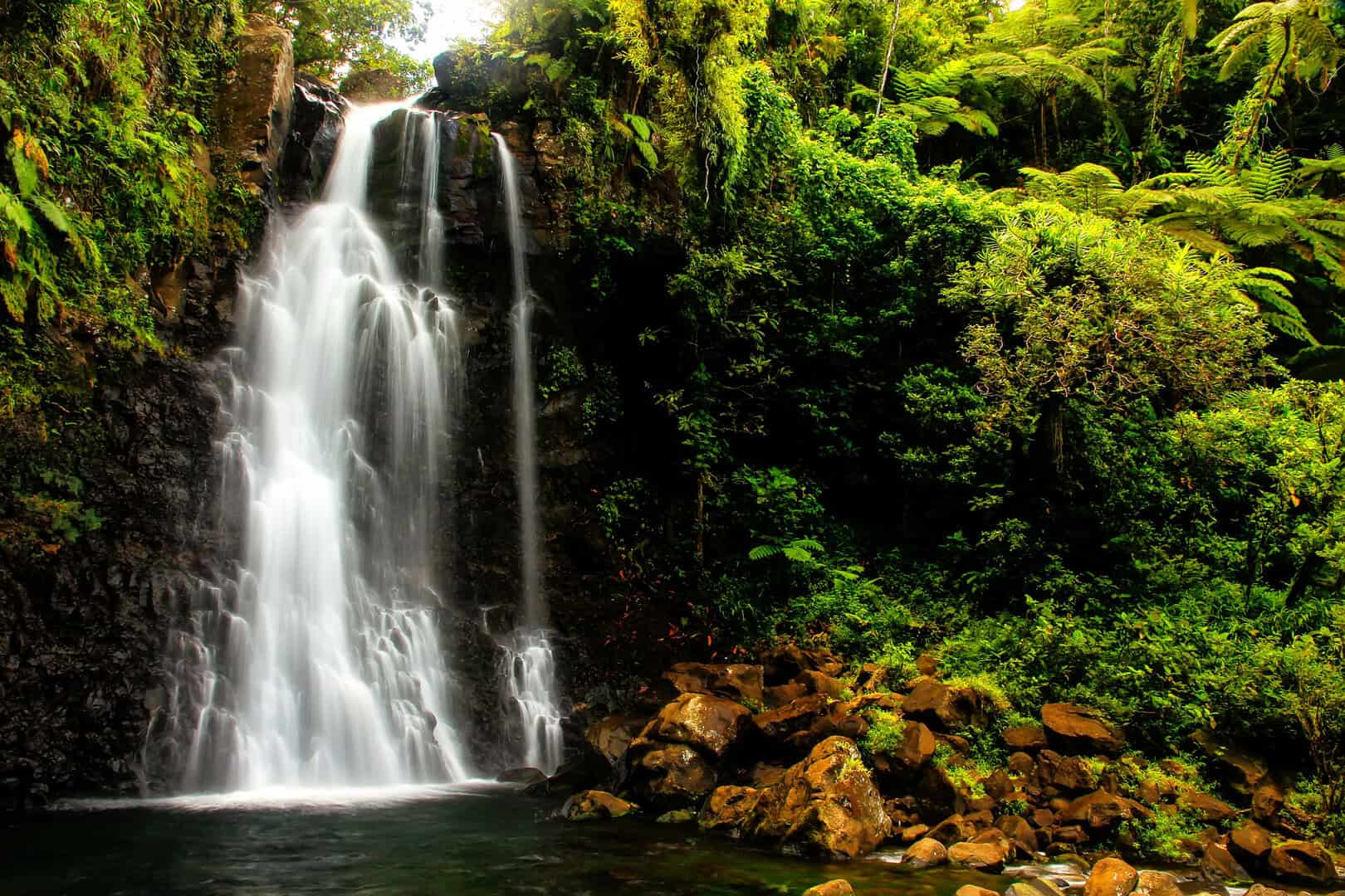 Esplorare il mare e le cascate di Taveuni, Fiyi. Viaggio con budget ridotto e avventure emozionanti 22 Esplorare il mare e le cascate di Taveuni, Fiyi. Viaggio con budget ridotto e avventure emozionanti
