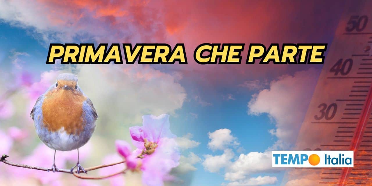 Primavera che parte 2 primaverache 1502