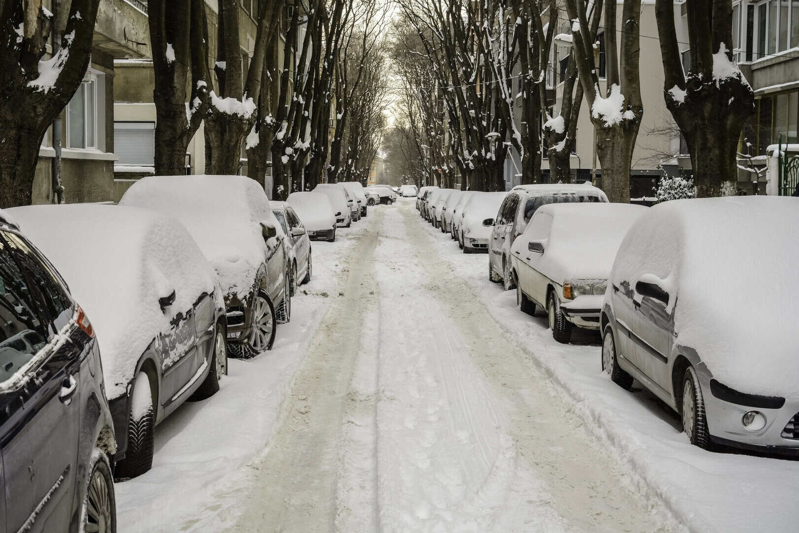 Meteo estremo: gelo polare in Bulgaria, -23°C registrati nel nord-est! Freddo intenso per altri giorni