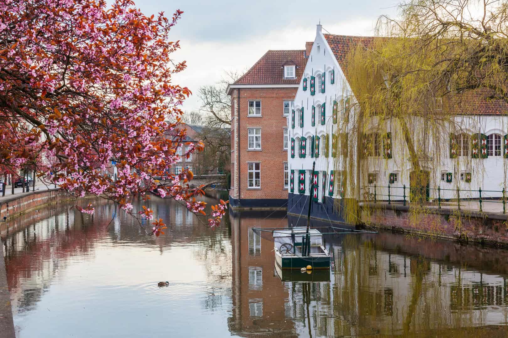 Meteo Belgio: in arrivo un assaggio di primavera con sole e temperature fino a 17 gradi