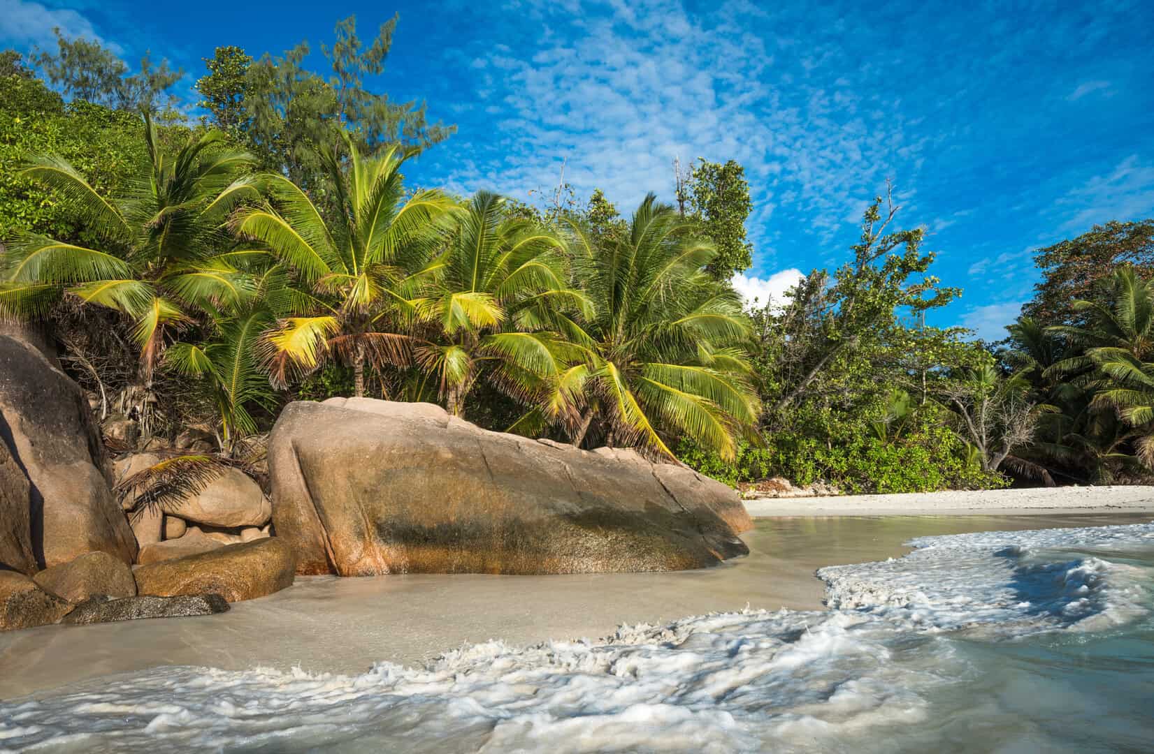 Turismo low cost a Praslin, Seychelles. Tra spiagge, scogliere, foreste e avventure indimenticabili nella natura tropicale 35 Turismo low cost a Praslin, Seychelles. Tra spiagge, scogliere, foreste e avventure indimenticabili nella natura tropicale
