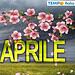 La Primavera non promette bene