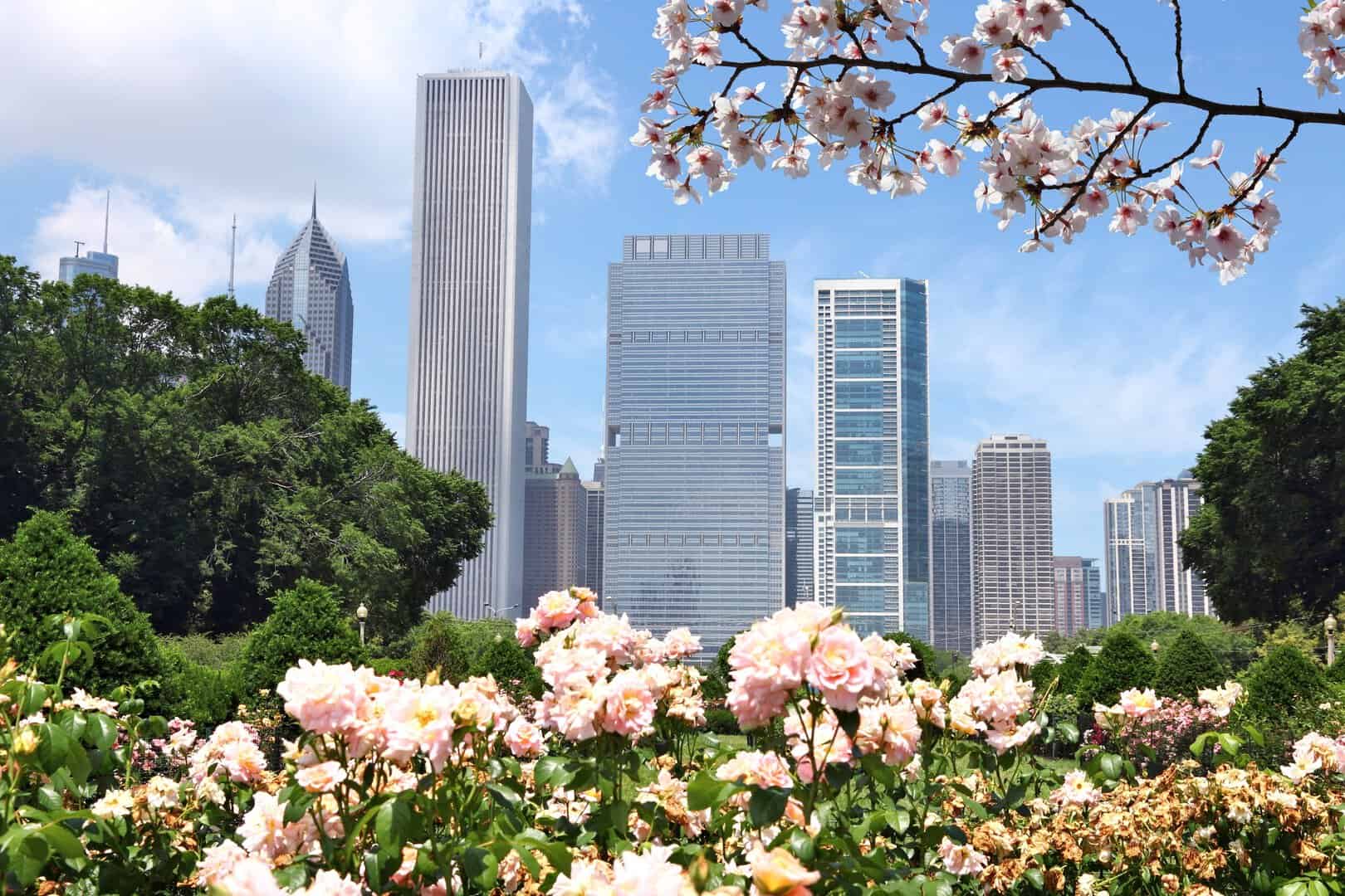 Caldo estivo e temporali in arrivo su Chicago