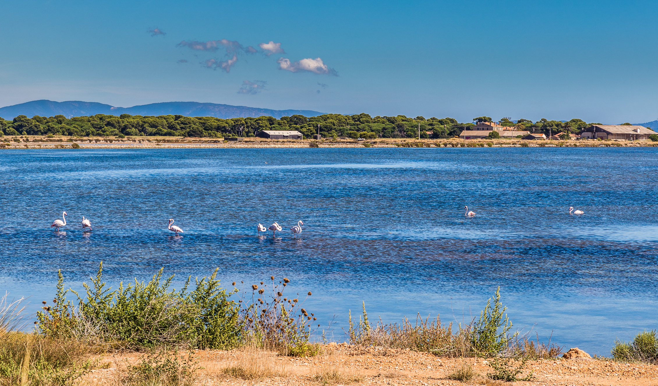 Meteo Var, Francia: sole e vento protagonisti fino a domenica