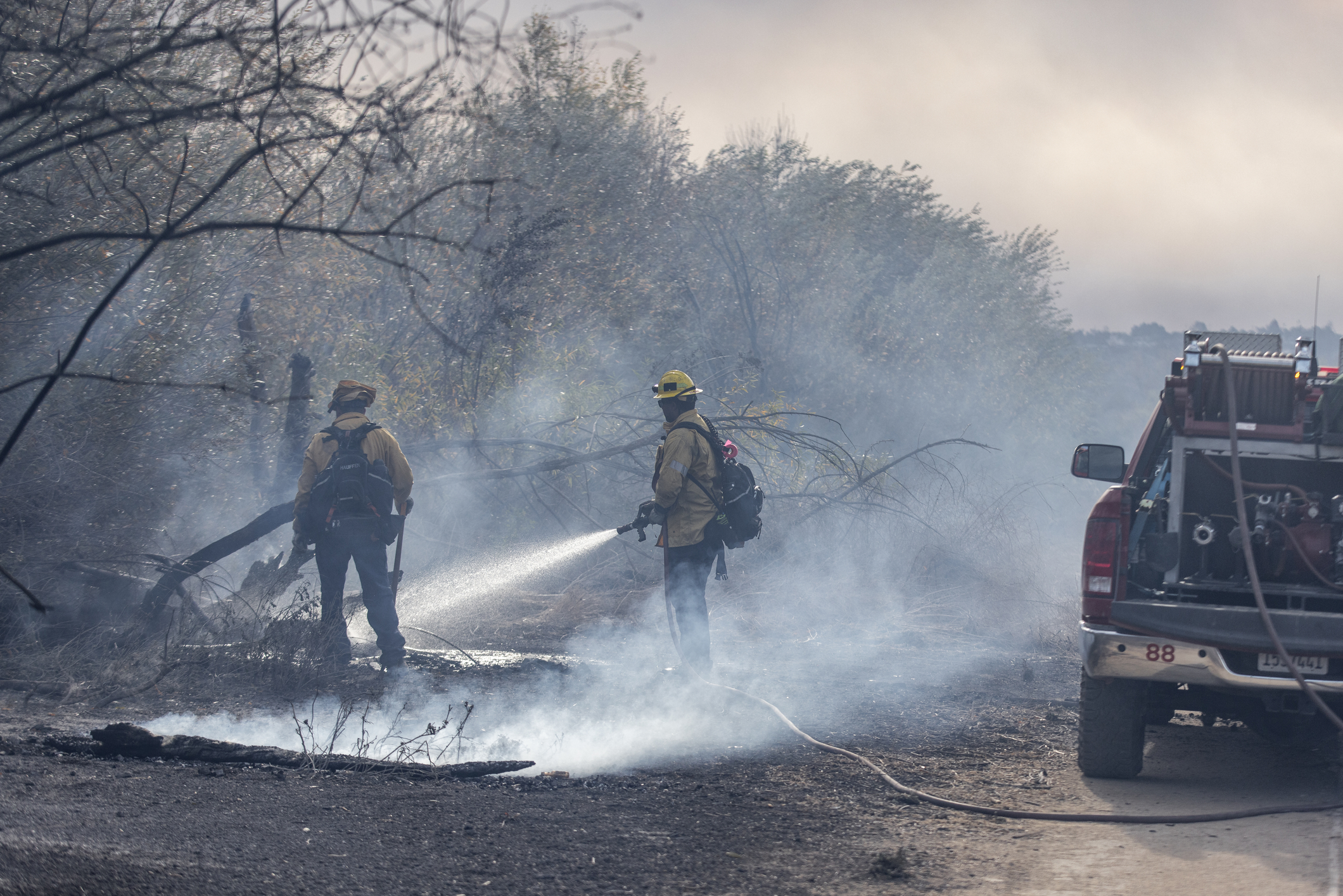 Come gli incendi a Los Angeles stanno cambiando l’Oceano Pacifico