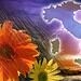 Dal prossimo weekend cambia tutto