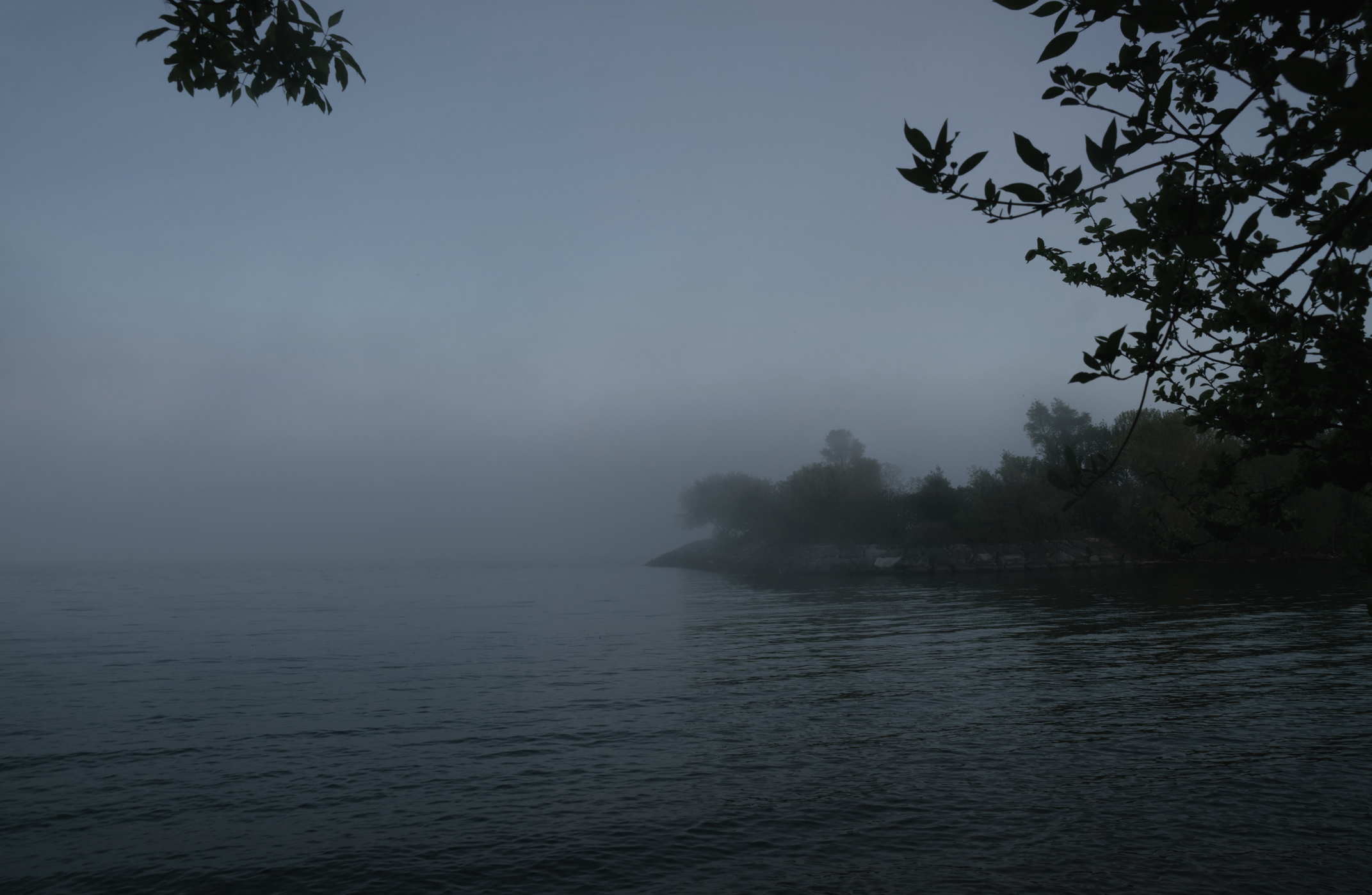 Meteo Ontario: nebbia fitta in arrivo nel sud della provincia