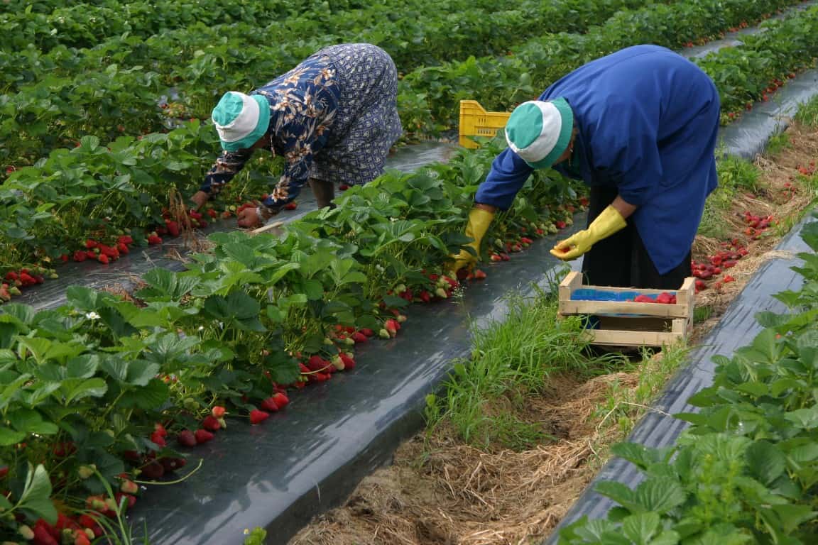 Meteo Puglia: stop ai lavori all’aperto nelle ore più calde dell’estate