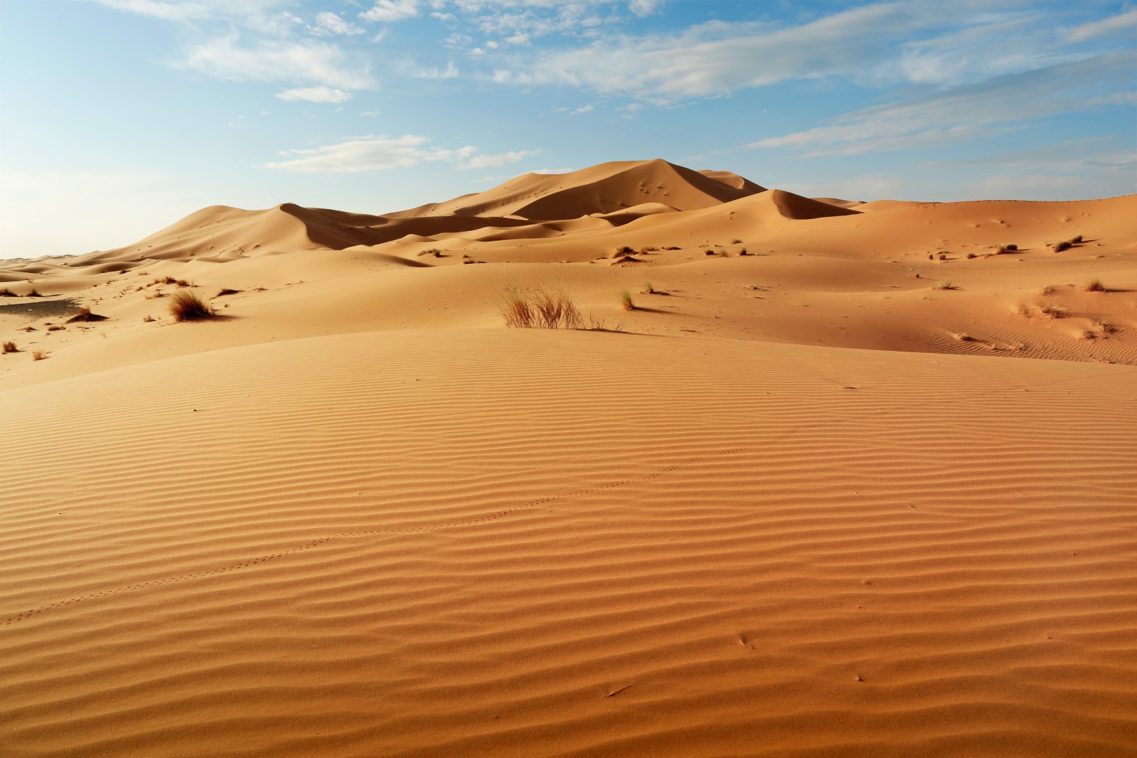 La nascita del Sahara: da paradiso verde a deserto implacabile