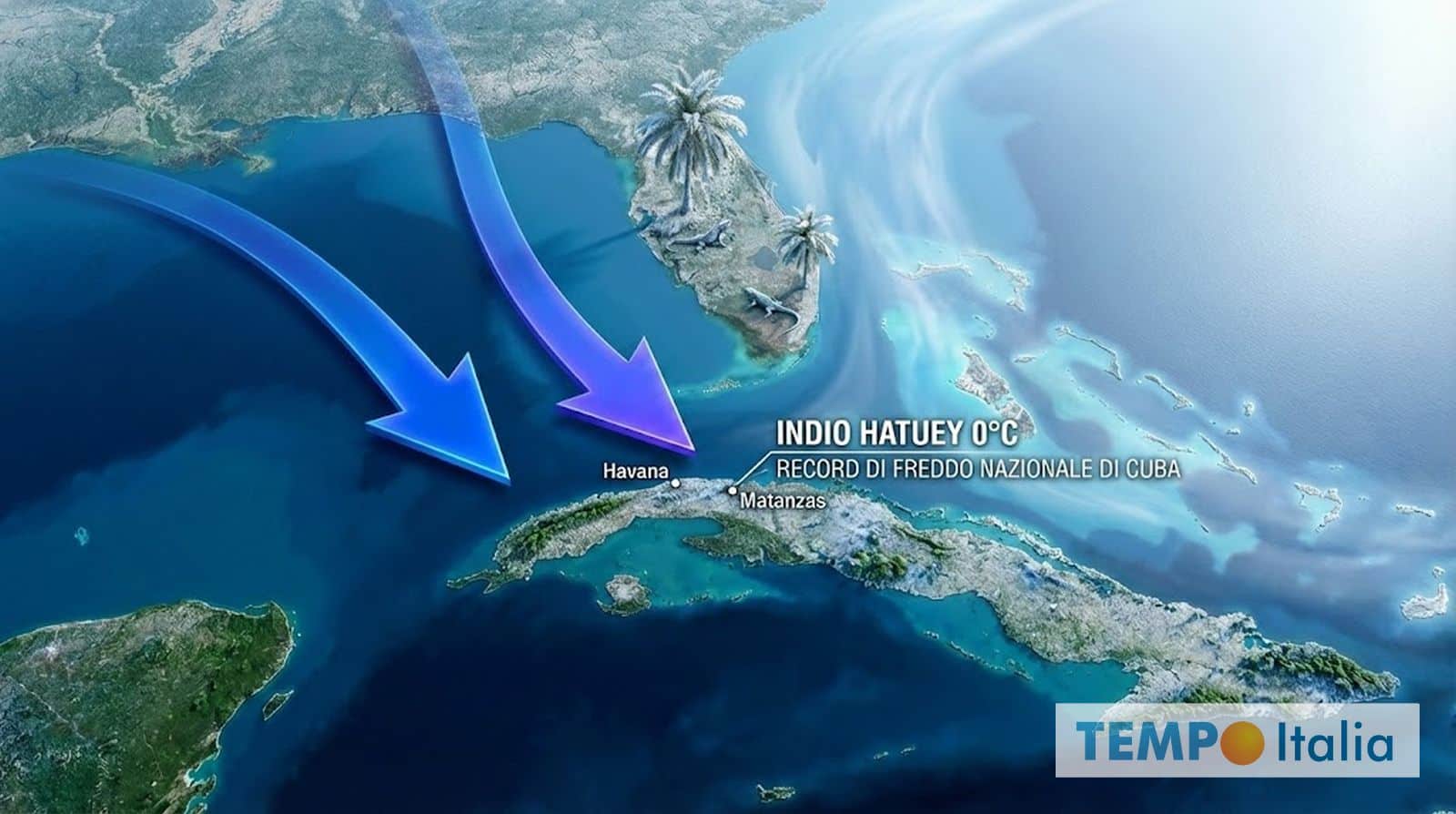 Iguane congelate in Florida, record di freddo storico a Cuba, e il Riscaldamento Globale?
