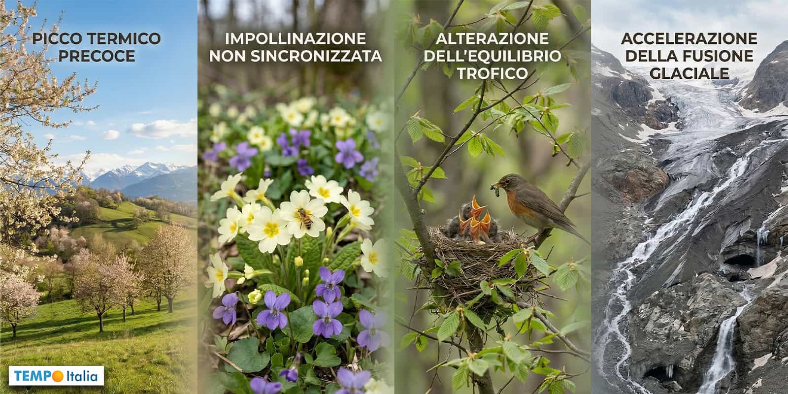 Meteo Aprile: l’Ipotesi del Caldo anomalo e quel Pericolo per l’Ambiente
