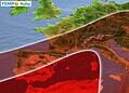 Arrivano i 40 gradi