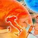 Temperature molto elevate a partire dai prossimi giorni
