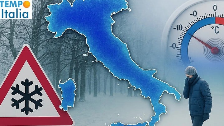 artico 24 atco